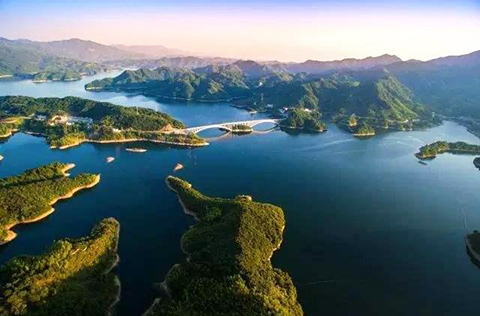 【記者調(diào)查】萬(wàn)畝荒山變身“油茶林”，金寨發(fā)展油茶產(chǎn)業(yè)“綠色脫貧”