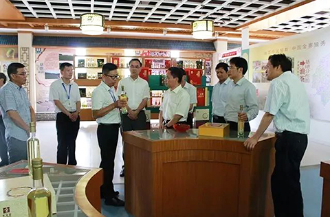 省長李國英調(diào)研東旭大別山