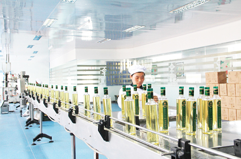 我國(guó)油茶產(chǎn)業(yè)產(chǎn)值逾千億