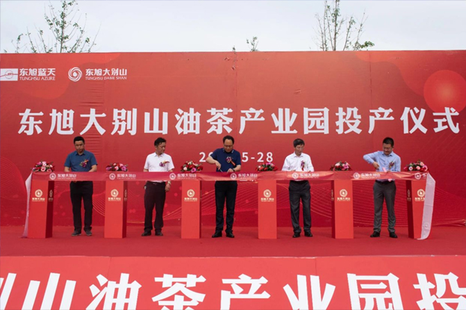 5月28日｜東旭大別山油茶產(chǎn)業(yè)園正式投產(chǎn)