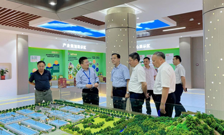 簡訊丨安徽省供銷合作社聯(lián)合社理事會副主任汪斌一行前往東旭大別山調(diào)研