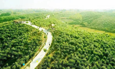 媒體聚焦｜匯聚兩會報道 傳播東旭藍(lán)天聲音